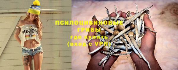 мяу мяу кристалл Липки